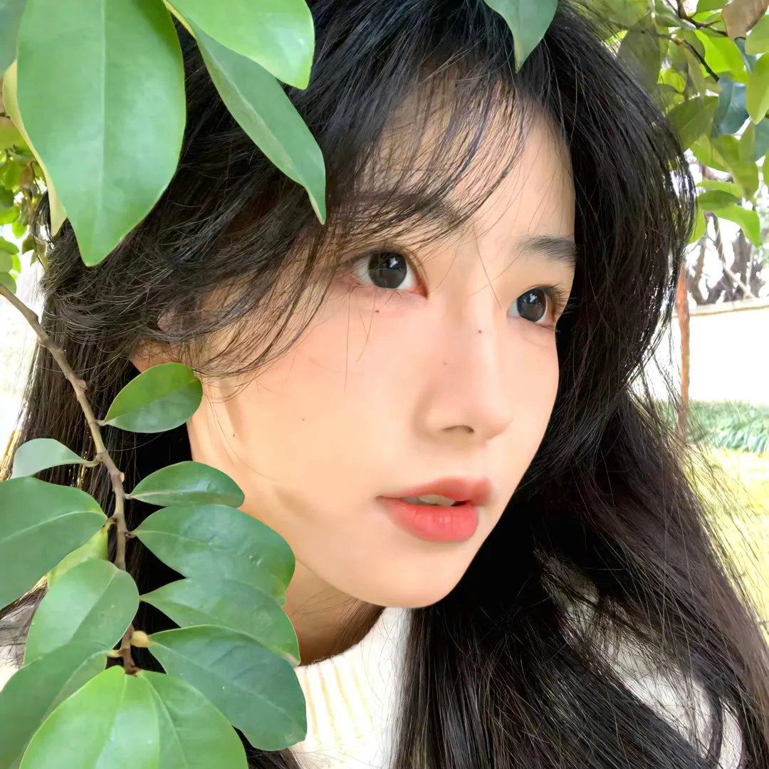 笑影歌声
